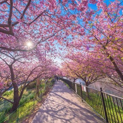 shokovalabkhand's profile picture. زندگی فاصله آمدن و رفتن ماست