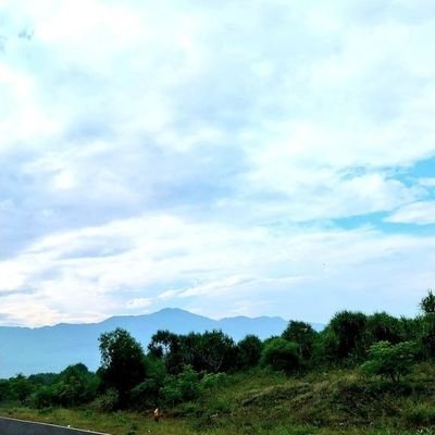 ciimoryku's profile picture. diary digital