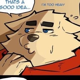 tanukitime2024's profile picture. .