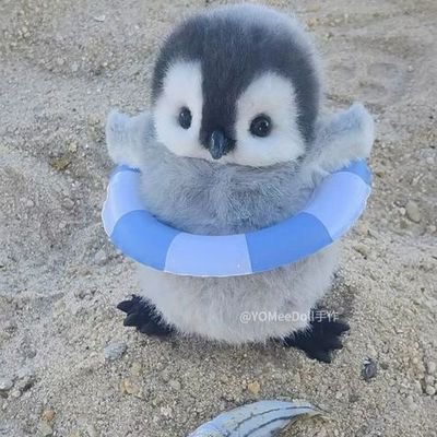 ZacharyLog98345's profile picture. 