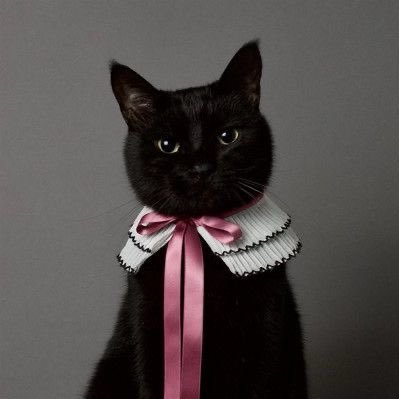 mauariii2012's profile picture. Just a vibe, living my truth🐈