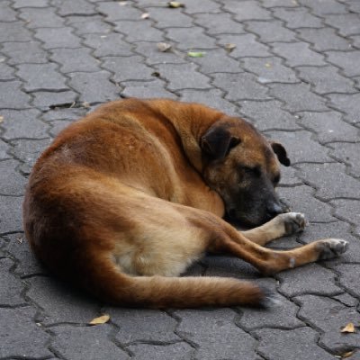 KbutrM's profile picture. แอคเก่าบิน ผู้ติดตาม25k+