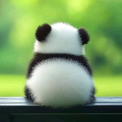 uciiiiiii____'s profile picture. i love him to the moon and never coming back