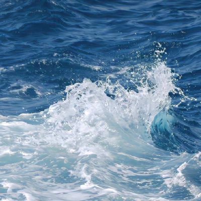 Danaalba01's profile picture. 