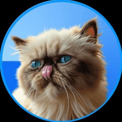 mrmigglesnbase_'s profile picture. Mister Miggles: The Creators' Cat Birthed by Coinbase, Fostered by @purrLabs, Loved by Everyone.