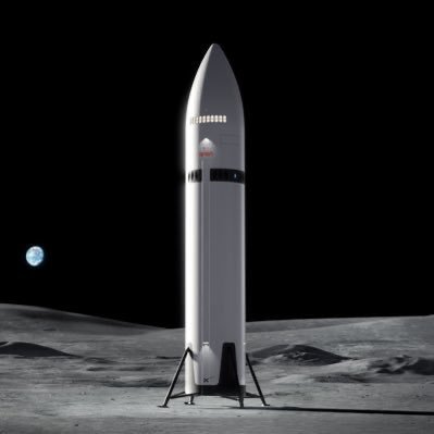 musk934's profile picture. 