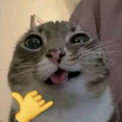 hend_vc's profile picture. yo no creo en brujas, pero que las hay, las hay