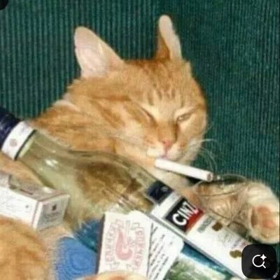 thamartini8's profile picture. elle | lesbi ✨
Bienvenue mes reines 🤭