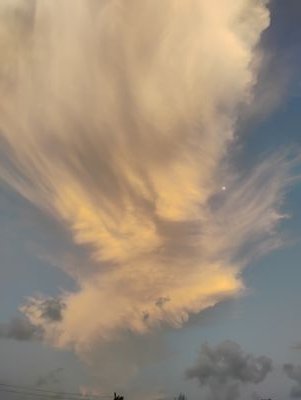 Prashan52305798's profile picture. ML/AI/Data Science Enthusiast