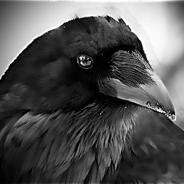 Syncophated's profile picture. “I have begun to long for you, I who have no greed, I have begun to ask for you, I who have no need”