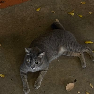 Bxss39's profile picture. ?