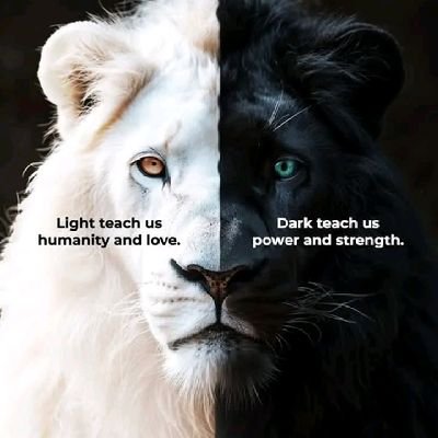 kennex990's profile picture. I follow back ASAP
💯