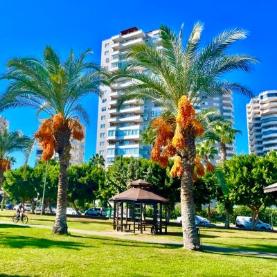 MersinFotolar's profile picture. Mersin  Kent Yaşamına Ait Güncel Fotoğraflar İçin Doğru Sayfadasınız