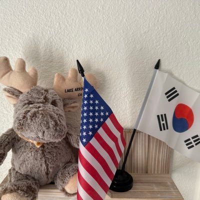 VivianeLee502's profile picture. Right is always right! 오른말=오른소리=오른생각. 맞팔 구함. 선팔 환영. No DM. 극좌, 좌빨 사양.