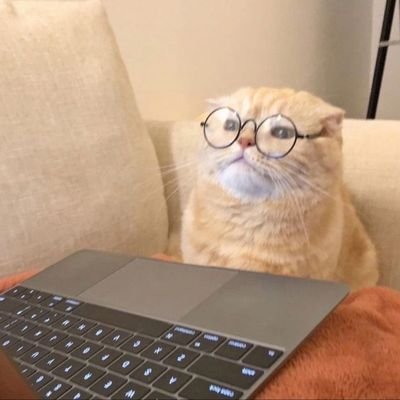 _priiyanshiii's profile picture. Turning data into insight, questions into answers.
Exploring the boundaries where logic meets imagination.
Always observing, always evolving.