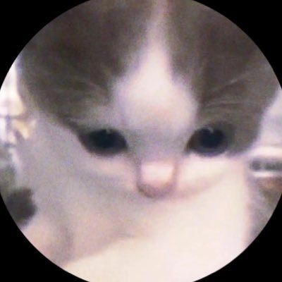 brend0c4's profile picture. 
