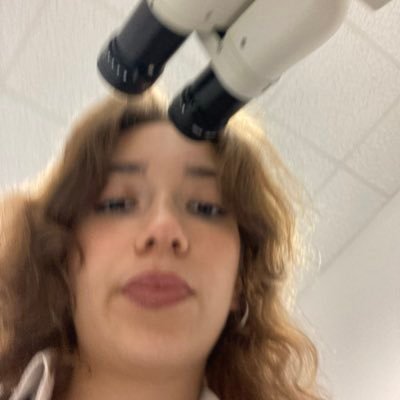 ironirew's profile picture. itü