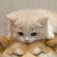 TinaMaria6335's profile picture. 