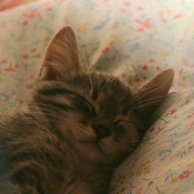 iluvgnf's profile picture. 