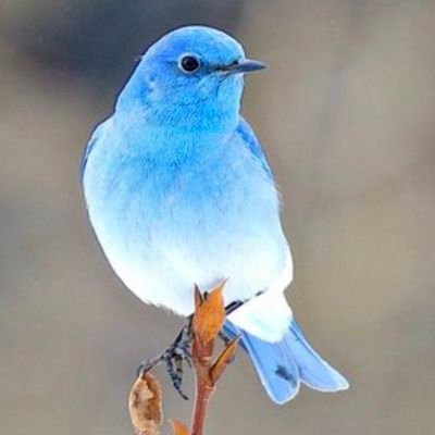 Asuasita2355's profile picture. 大阪郊外在住　危険物取扱者　運行管理者　
１３個の資格を持つ　
岡山大学卒業　交響楽団でバイオリン
現在はセルフ式ガソリンスタンド勤務
よく考えよう　仕事は大事だよ