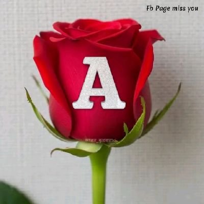 af33k0's profile picture. 