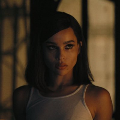 reignbid's profile picture. #wantitall | dc
