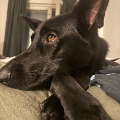 rimppalanmutzi's profile picture. Tämä ei ole minun kirkkoni,LA Tuononen- 23