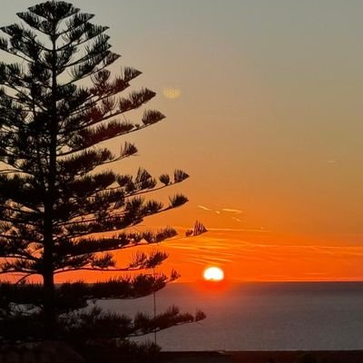 utenteinstabile's profile picture. Ho deciso di fondare un esercito del male. Prenderò possesso di questo pianeta.
La mia badante ucraina dice che posso farlo basta che finisco per le 18.