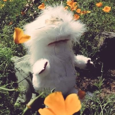 RiveroJuan_14's profile picture. Chileno, colocolino, sureño. Primero Chile, segundo Chile y tercero Chile. Nacionalista de izquierda.