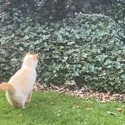 Fujii31A's profile picture. 