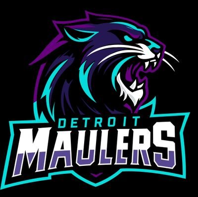 MaulersD's profile picture. The Detroit Maulers of the SFL