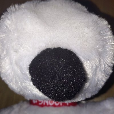 Bloopsさんのプロフィール画像