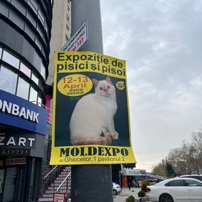 JaffeLogan's profile picture. 