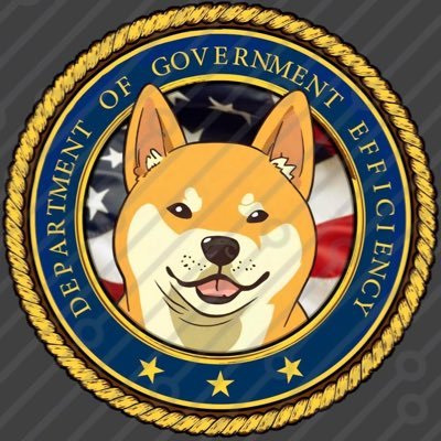 father_doge89's profile picture. CEO, and Chief Designer of Spacex and product architect of Tesla, Inc.