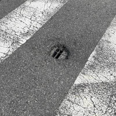 4little5little's profile picture. 