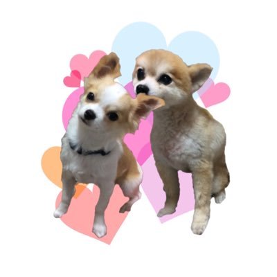 sachi_disney_'s profile picture. 🌸 🌸クリエイト・レストランツ・ホールディングス大好き投資家(36,000株)🌸 🌸FP2級。剣道四段。電気工事士。#クリレス #コジ活 #懸賞 #株主優待 #高配当 #配当金 #米国株 配当金生活したい 🥰 ディズニーは配当金で楽しむ。映画好き🎞️