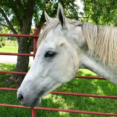 hen72911's profile picture. 