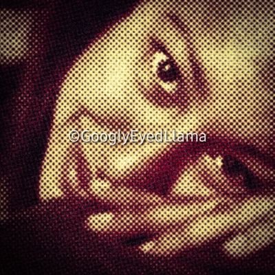@GooglyeyedLlama