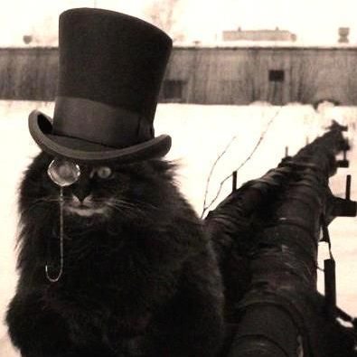 slimofthefey's profile picture. High Strangeness Enthusiast, Occultist, Cryptic, Cynic, Contactee, Gamer. 

Check linked site for an amateur write-up of my experiences from 2015 to 2018. 🛸👀