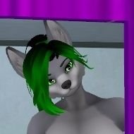 GrayFenrir84408's profile picture. 💚I'm a gray fox who loves coffee and my loves💚

 vrchat nsfw/sfw Content Crater
 Collabs are open 
grender fluid pan fox or dragon