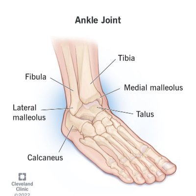 ankle_monitors's profile picture. 