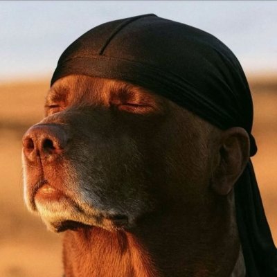 RykardoIronico's profile picture. 