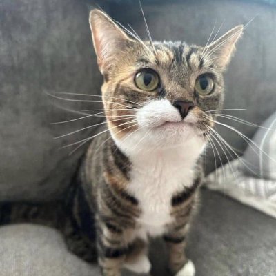 fsgfddgsdgf's profile picture. 