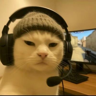Dumbb0000's profile picture. your daily dose of meme