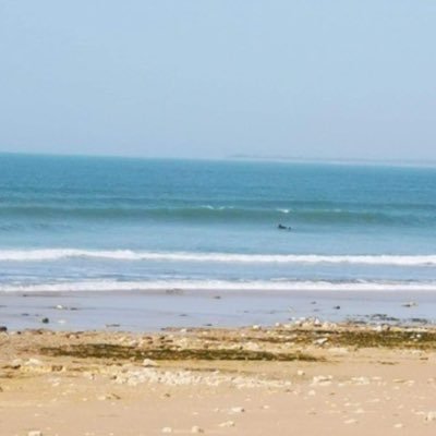 programming12_'s profile picture. 🏄🏻♂️