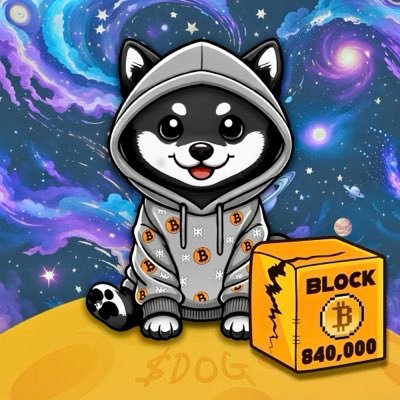 aashleeyniicole's profile picture. Gold is dead, Bitcoin is the new measuring stick. 🐕🏆🟧 ; - ) 🦾 #Bitcoin #Runes #DOG