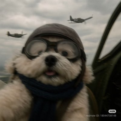 dorc_az's profile picture.