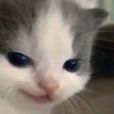 StationPla34975's profile picture. Official Sony Interactive Entertainment account. Updates on PS5, PlayStation VR2, PlayStation Plus, PS4 and more. Support: @AskPlayStation