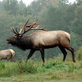 semperfi_74's profile picture. 