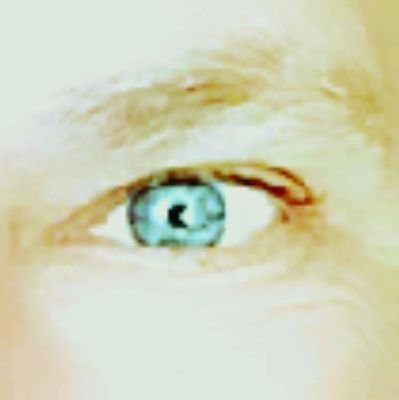 OppermannPetra's profile picture. Frรคnkin,  liebe Tiere รผber alles.